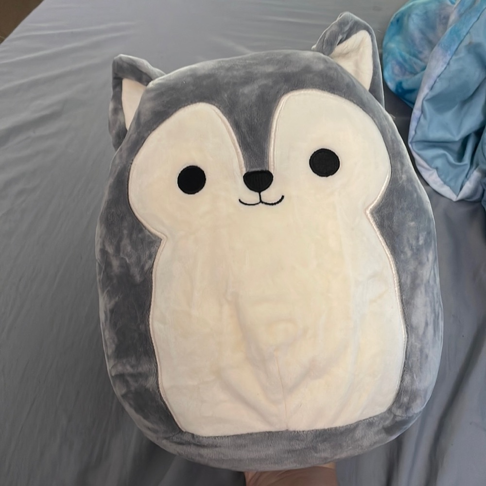 10” Ryan the Husky Squishmallow